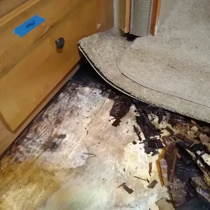 Wood Floor Water Damage in Lake Saint Croix Beach, MN